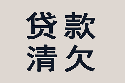 龙泉收数公司